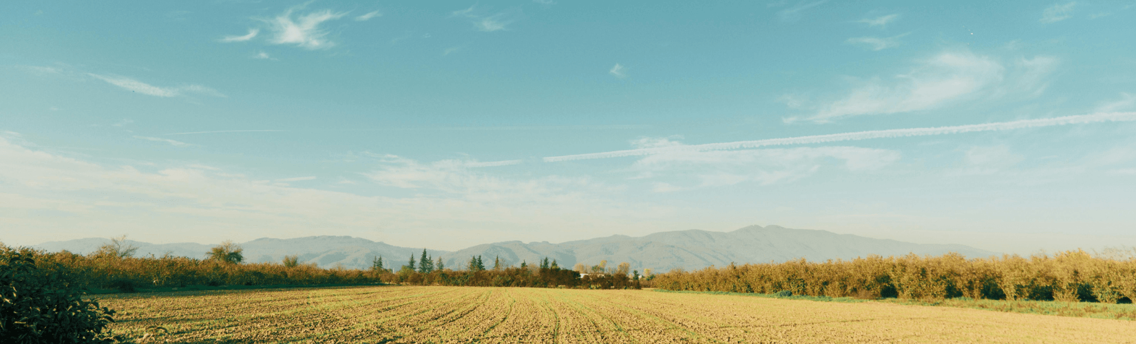 Land Mgmt Life Image